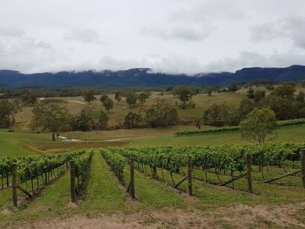 Wild ride australia wine tasting tour